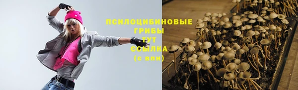 СК Протвино