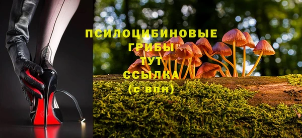 СК Протвино